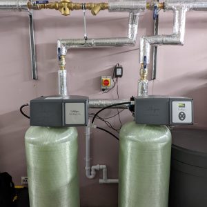 PXL_20221114_110240953