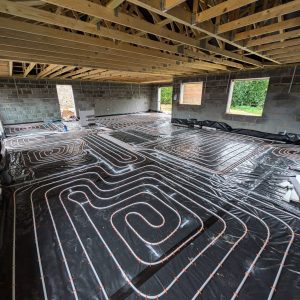 PXL_20241204_141154101