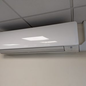 PXL_20250605_101712819